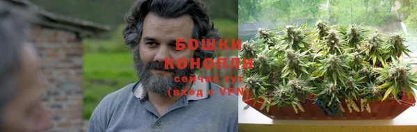 стаф Вяземский