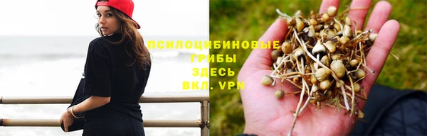 кокс Волосово