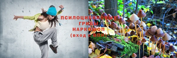 кокс Волосово