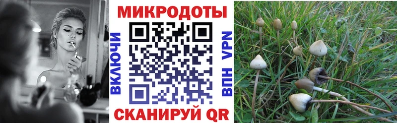 Купить закладки  Старица  Галлюциногенные грибы мухоморы 